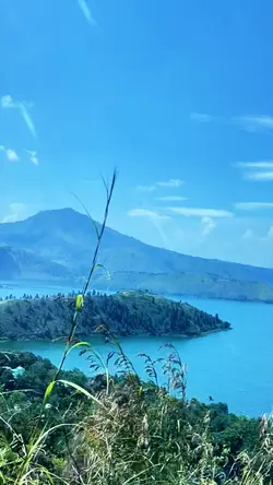 bersin bayi transisi