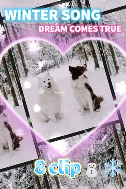 WINTERSONG/ドリカム