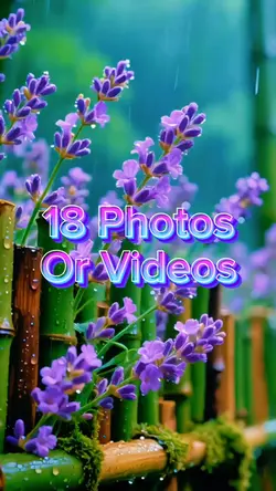 18 Video Slides