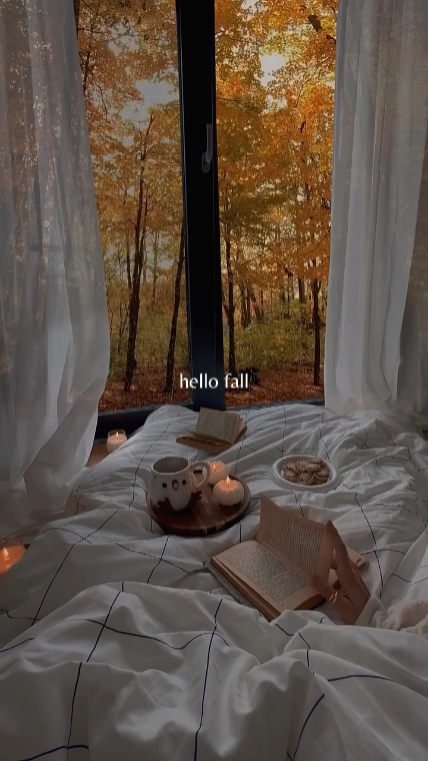 Bonjour l'automne