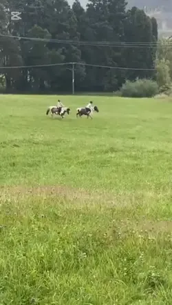 Horse camp aesthetic