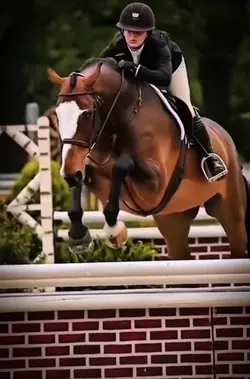 hunter jumper edit