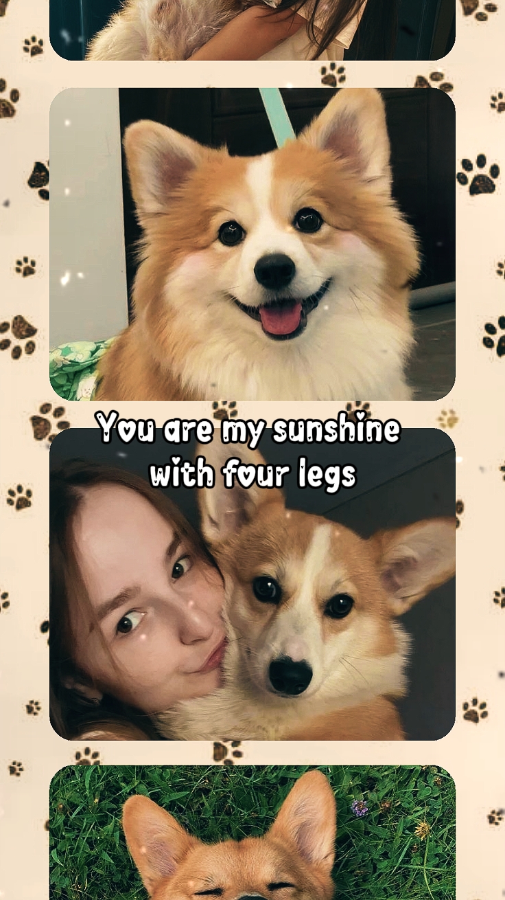memories with my pet