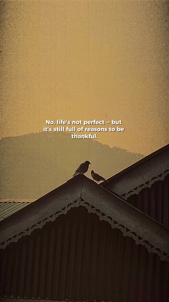life's not perfect 