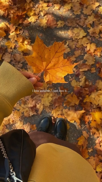 automne 