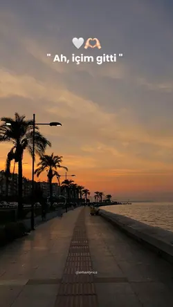 Tiktok / erhanlyrics