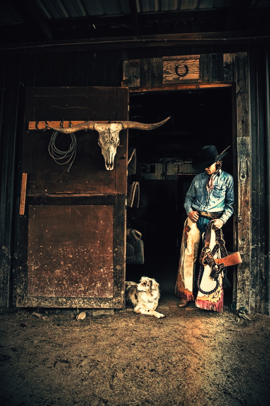 Cover Picture