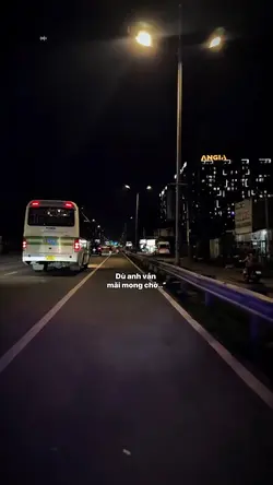 Người tình ơi vì đâu
