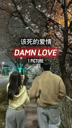 该死的爱情 (Damn Love )