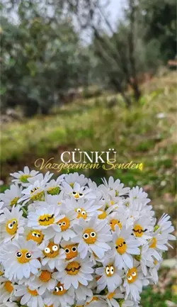 Vazgeçem