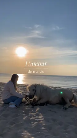 L’amour de ma vie 