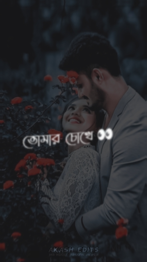 তোমার চোখে আকাশ আমার