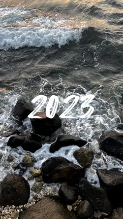 50 pic/ tạm biệt 202