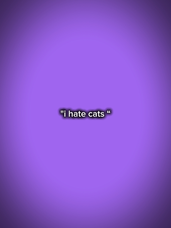 Katzen