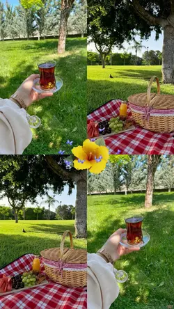 Huzur Verici 