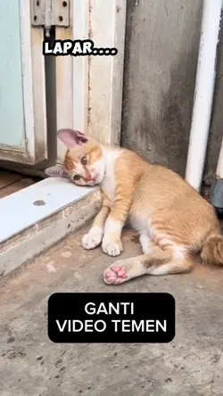 TEMEN NAHAN LAPAR