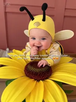 Baby Bee Filter