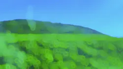 Vlog 