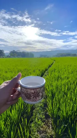 2 video filter cerah