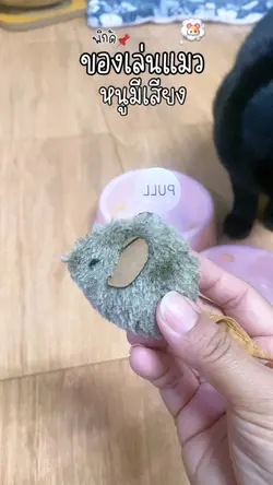 ของเล่นแมว 🐹✨