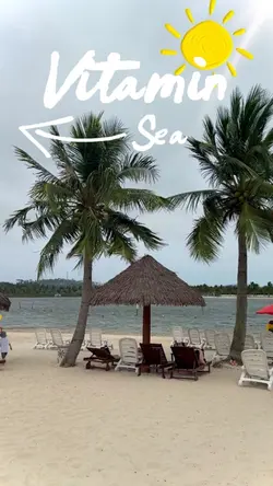 Vitamin Sea