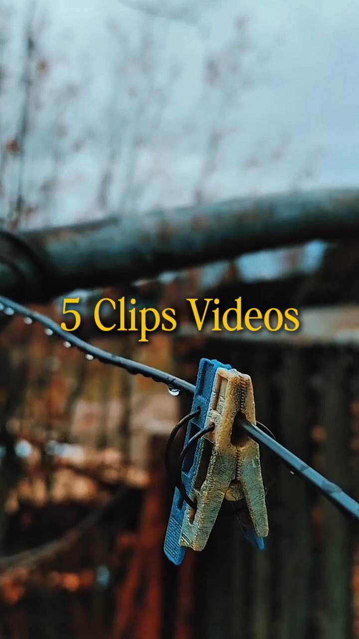 Cinematic 5 Videos