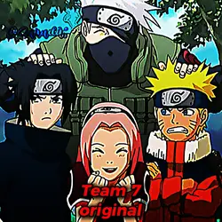 team 7 original