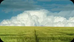 Ghibli vibes