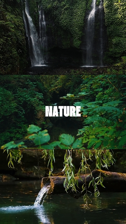 Nature Vibes