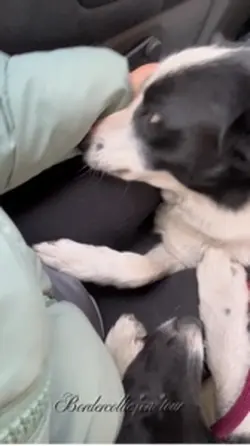 Ähhh Vincent✨🤨