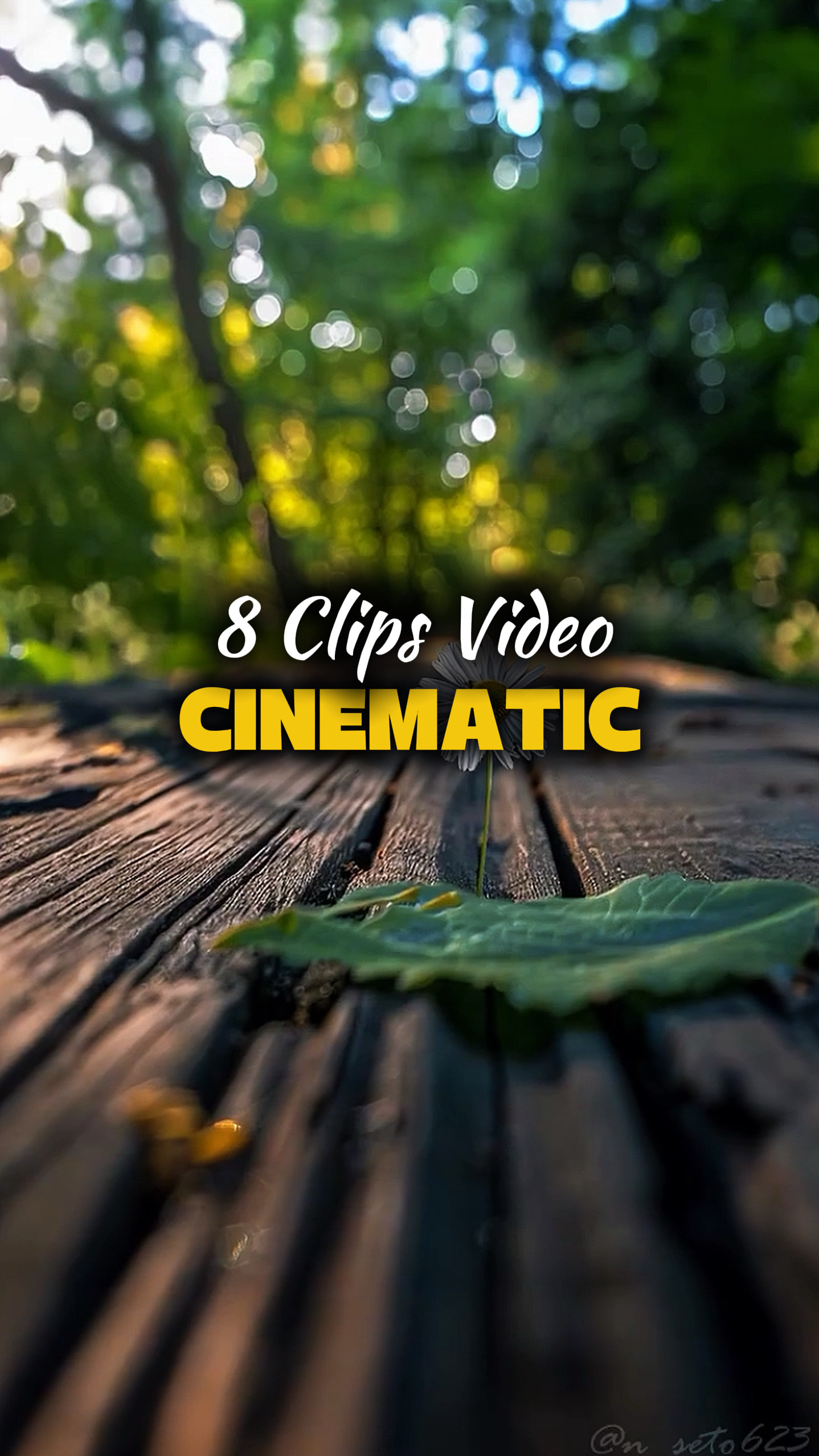 8 Vídeos Cinematográficos 