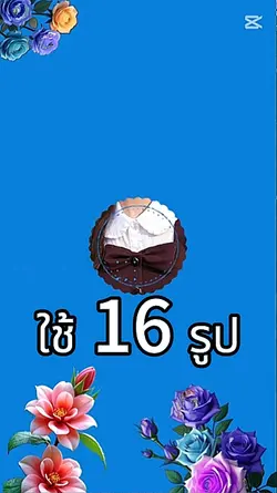 ใช้ 16รูป