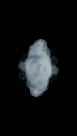 smoke portrait ²⁹