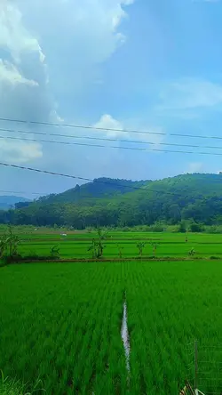 lagi Sunda