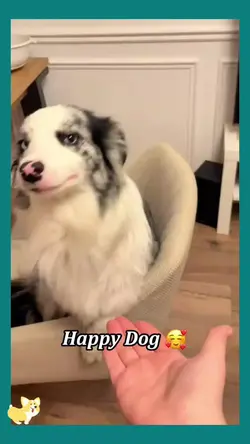 Tiktok viral 