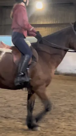 Dandyy | FAKE ⚠️‼️