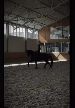 Horse slowmo