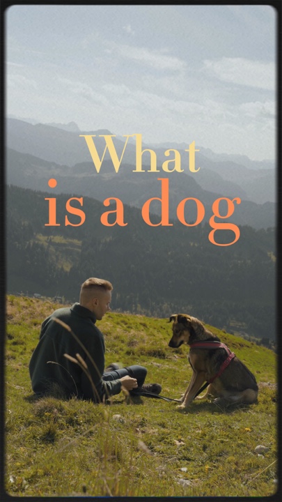Dog Quote 