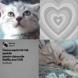 Derine İnerim