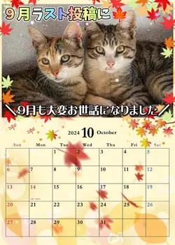10月もよろしくお願いします①