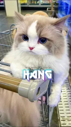 ไม่ได้มุสาวาปึ้ง