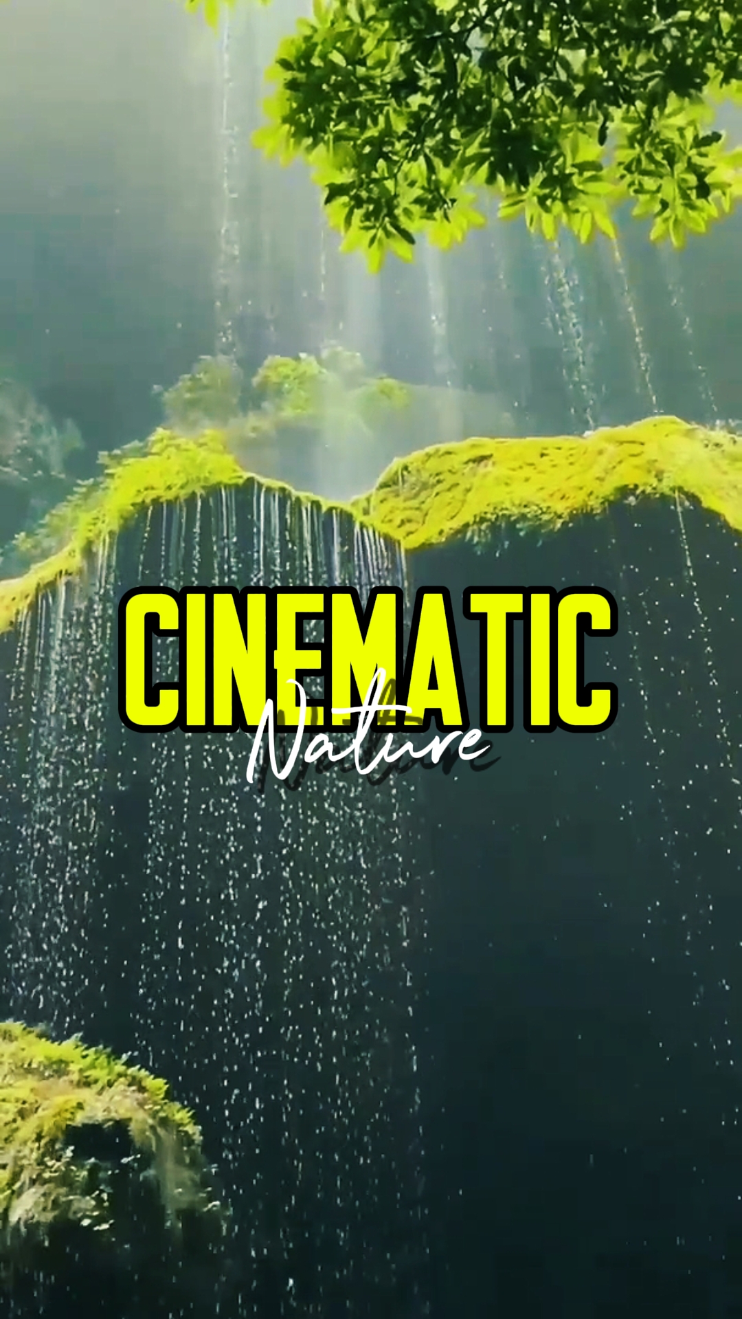 CINEMATIC NATURE