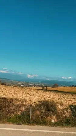 Pes etme motivasyon