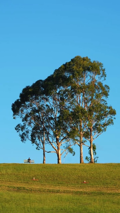 Parque