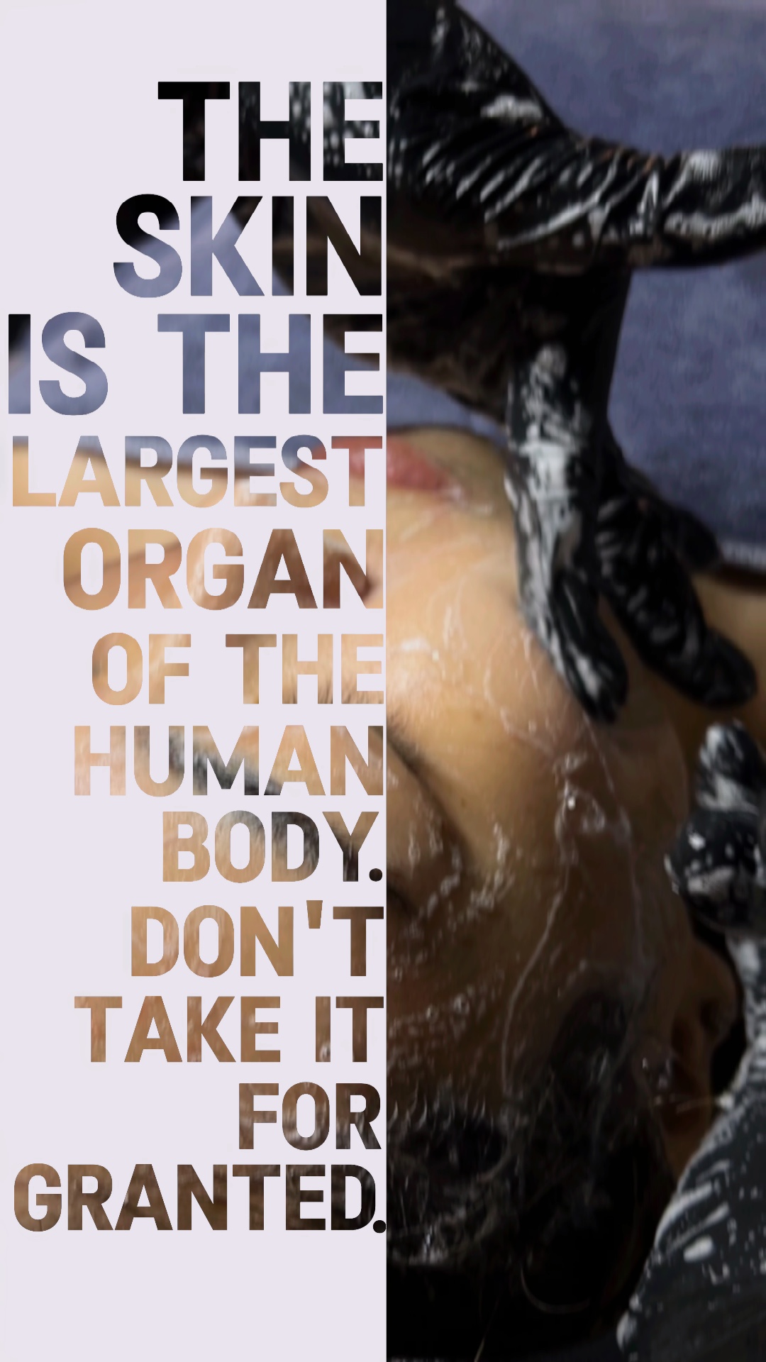 ✨ THE SKIN ✨