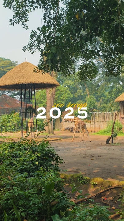 Resumen del zoológico de 2025