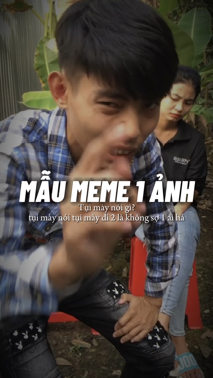 Mẫu Meme 1 Ảnh