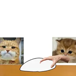 mochi yosho hai meme