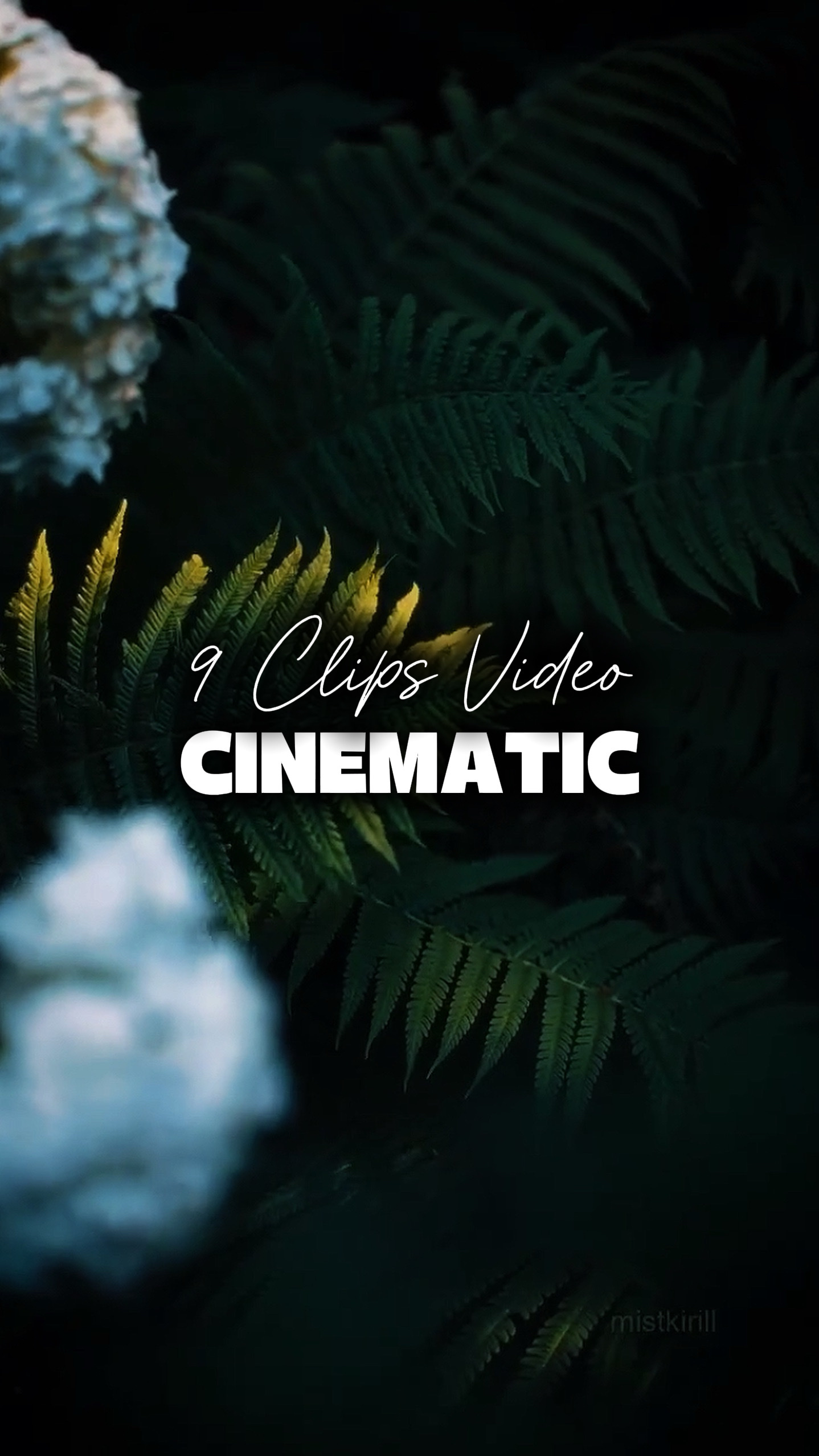 9 Videos Cinemáticos 