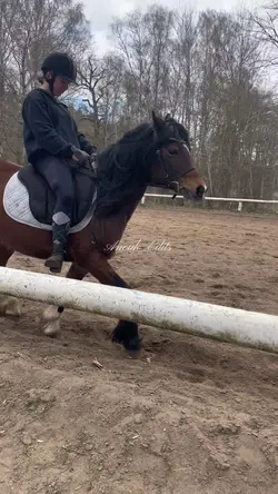 Horse riding
